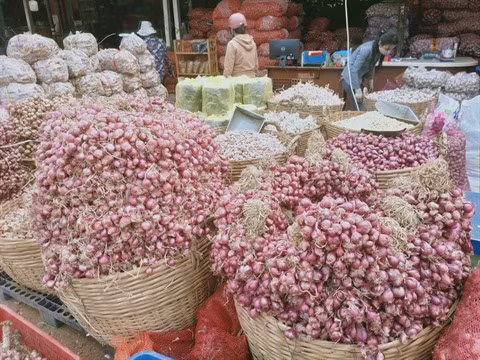 Sécurité alimentaire pour le Nouvel An lunaire ảnh 1