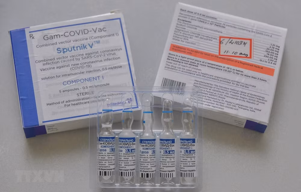 La communauté vietnamienne en Russie au chevet du Fonds de vaccins anti-COVID-19 ảnh 1 La communauté vietnamienne en Russie au chevet du Fonds de vaccins anti-COVID-19 ảnh 1