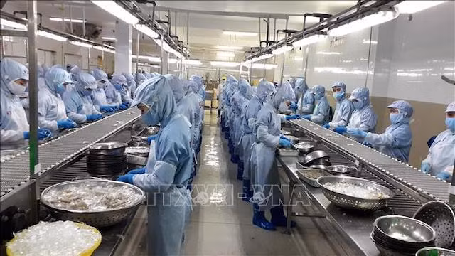 Les exportations de produits agricoles, sylvicoles et aquatiques en hausse de 21,6% en huit mois ảnh 1