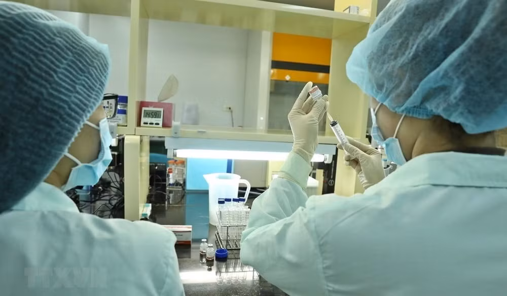 Le Vietnam propose à la BM de soutenir la production de vaccins contre le COVID-19 sur son sol ảnh 1