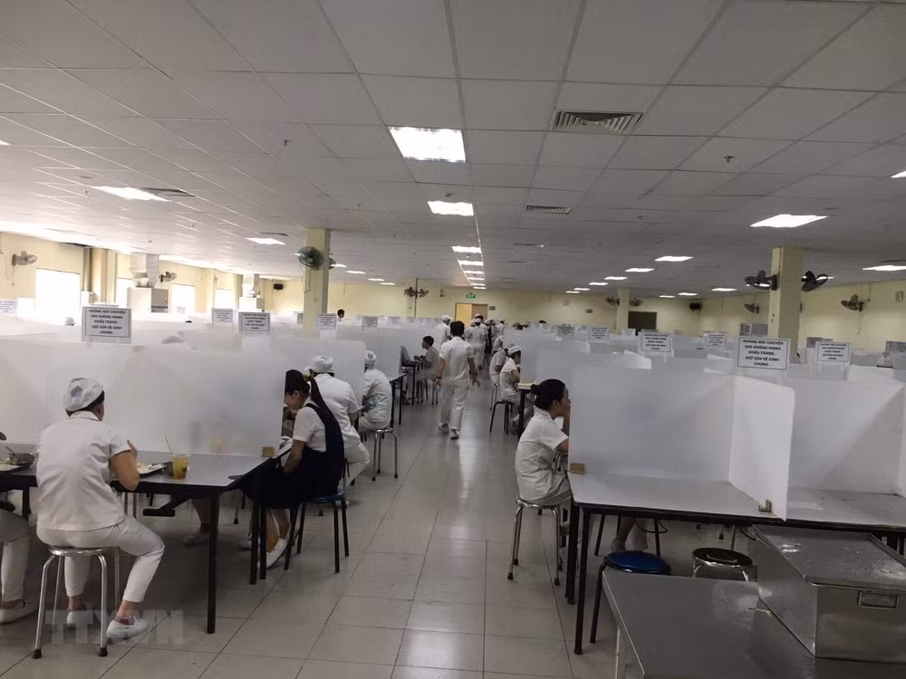 L’Assurance sociale du Vietnam accompagne les travailleurs et les entreprises ảnh 1