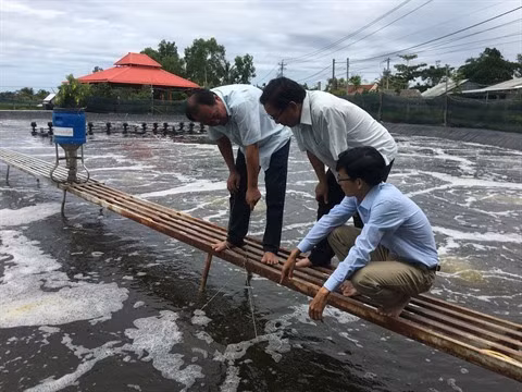 Des mesures pour développer la filière aquacole du Vietnam d’ici 2030 ảnh 1