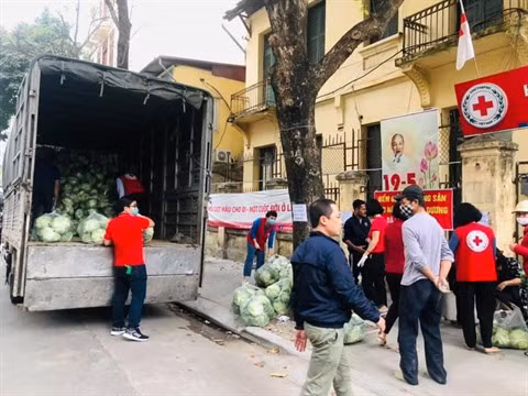 À la rescousse des produits agricoles de Hai Duong ảnh 2