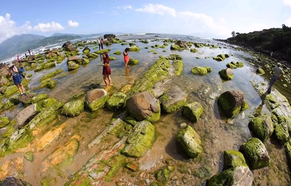 Une série d’activités pour protéger la nature ảnh 1