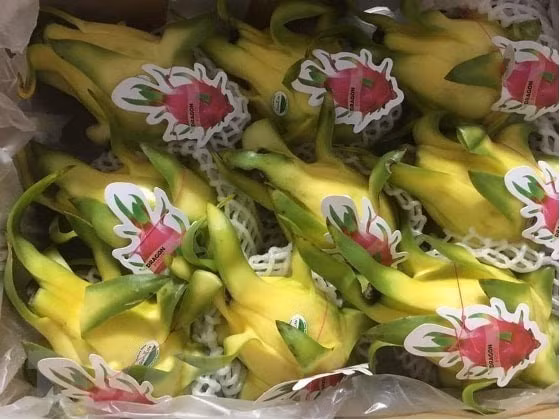 Les fruits du dragon vietnamiens appréciés en Australie ảnh 1