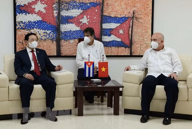 Le Vietnam et Cuba promeuvent les relations entre les deux Partis ảnh 1