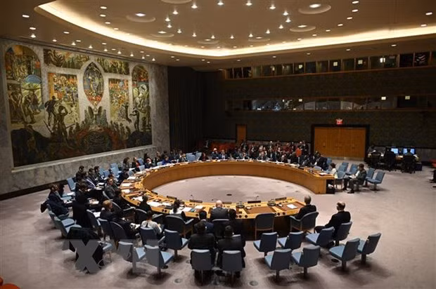 Conseil de sécurité : les priorités du Vietnam durant sa prochaine présidence ảnh 1