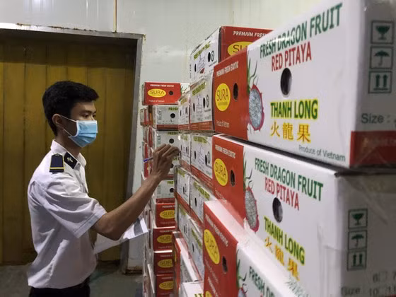 Produits agricoles : des perspectives prometteuses grâce au RCEP ảnh 2