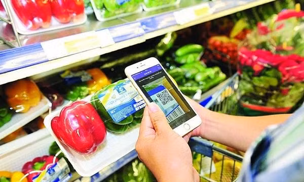 COVID-19 : préparer des plans pour parer à toute éventualité ảnh 2