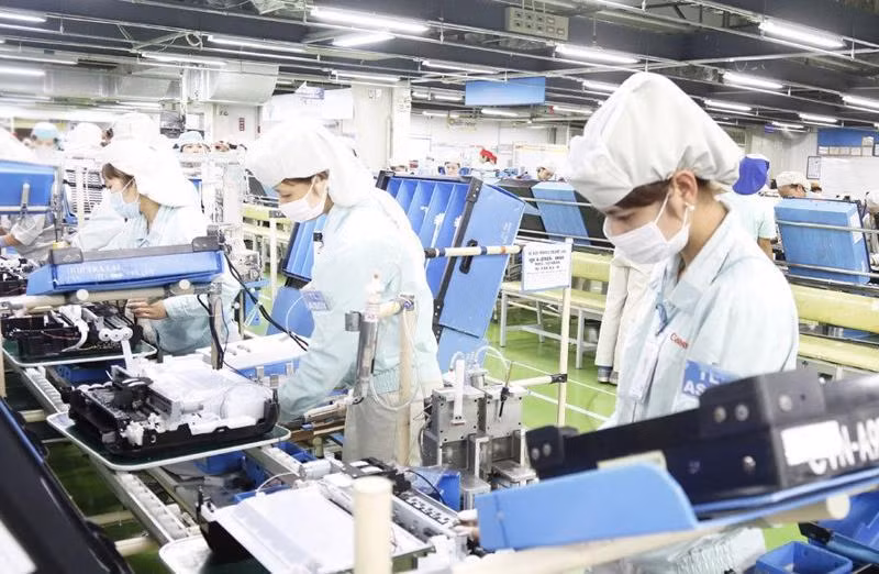 Porter la coopération entre le Vietnam et les Pays-Bas à une nouvelle hauteur ảnh 2