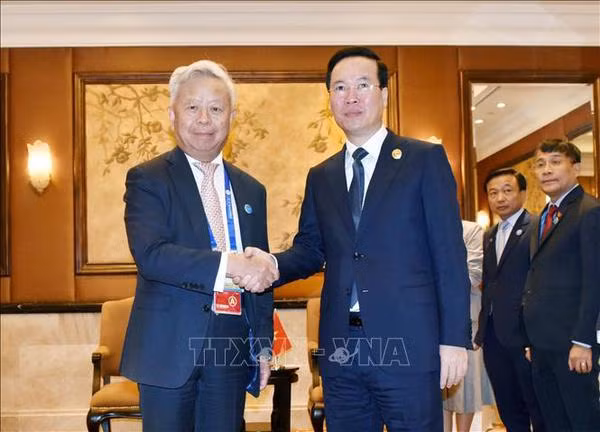 Le président Vo Van Thuong reçoit le président de la Banque asiatique d'investissement dans les infrastructures ảnh 1