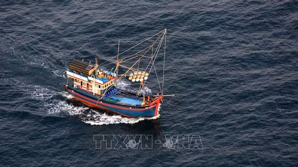 Le Vietnam déploie des efforts continus contre la pêche INN ảnh 1