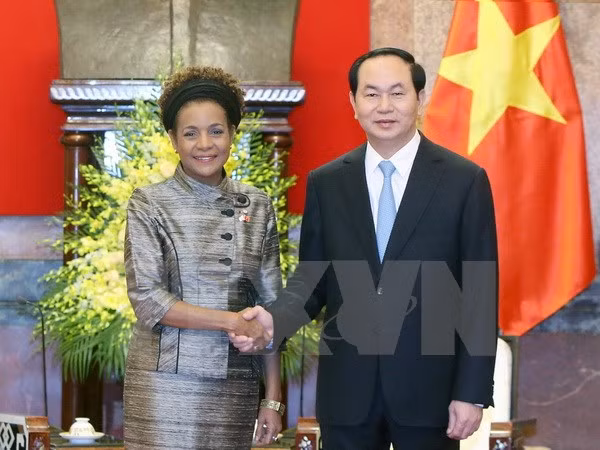 Le Vietnam s'engage à contribuer notablement aux efforts de la Francophonie ảnh 1