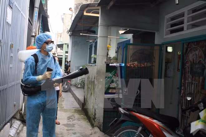 Deux nouveaux cas de Zika découverts à Hô Chi Minh-Ville ảnh 1