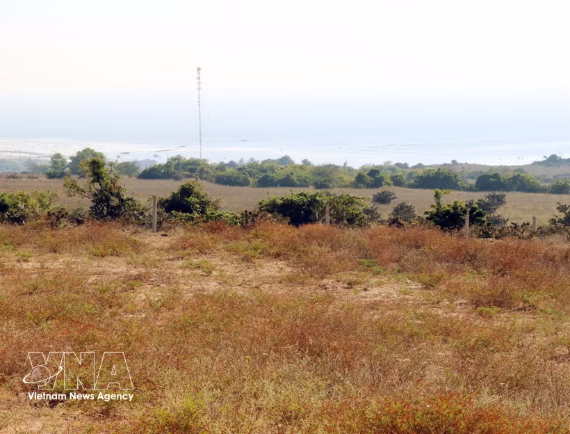 Lieu de construction de la centrale nucléaire de Ninh Thuân 1. Photo: VNA
