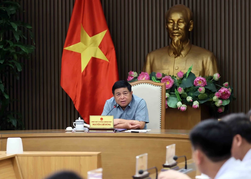Le vice-Premier ministre Nguyên Chi Dung s'exprime lors de la réunion. Photo: VNA