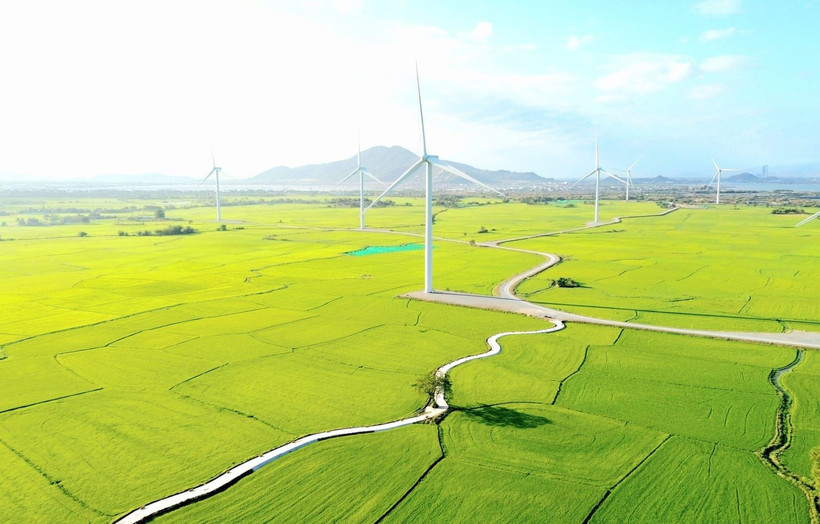 Le parc éolien de Dâm Nai. Photo: VNA