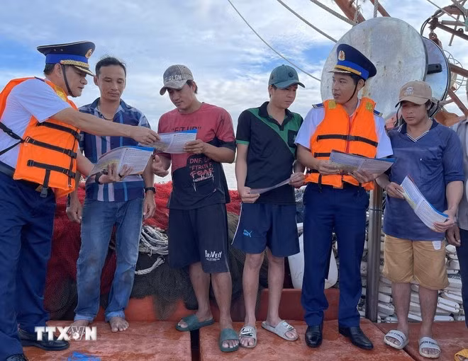 Les coopératives de pêche de Dông Thap, un modèle d’efficacité pour promouvoir la pêche durable. Photo: VNA