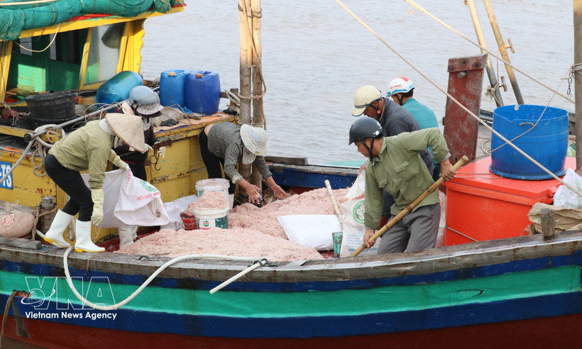 Bateaux de pêche côtière dans la commune de Giao Ninh, province de Ninh Binh. Photo: VNA
