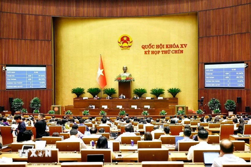 L’Assemblée nationale adopte la loi modifiant et complétant certains articles du Code pénal.