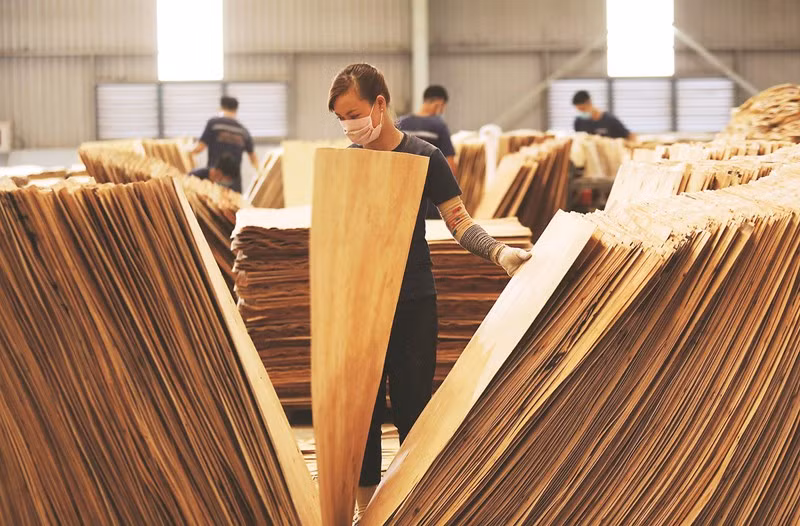 Ces dernières années, la filière bois vietnamienne a solidement affirmé sa position sur l'échiquier commercial mondial, grâce à un chiffre d'affaires à l'exportation impressionnant, mais aussi à un développement robuste et durable. Photo: vneconomy.vn