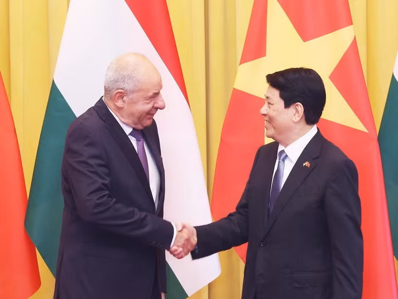 Le président Luong Cuong (droite) et le président hongrois Sulyok Tamás. Photo. VNA
