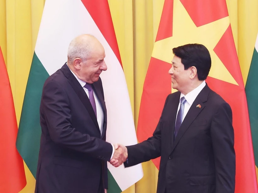 Le président Luong Cuong (droite) et le président hongrois Sulyok Tamás. Photo. VNA
