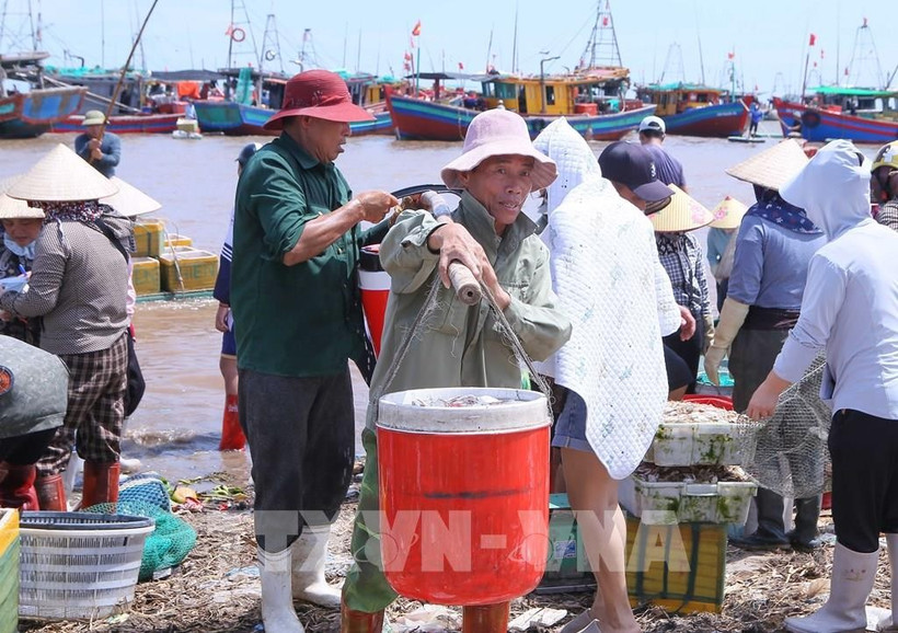 La province de Ninh Binh renforce sa lutte contre la pêche INN. Photo: VNA