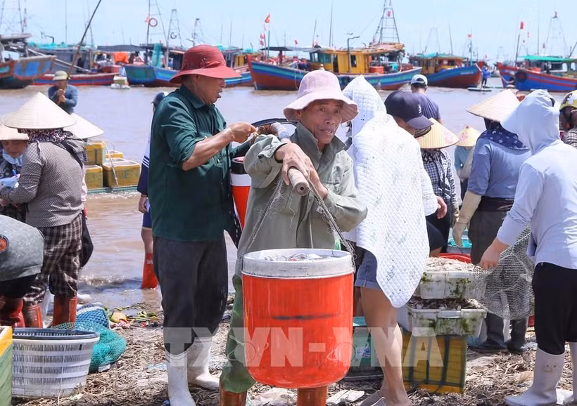 La province de Ninh Binh renforce sa lutte contre la pêche INN. Photo: VNA
