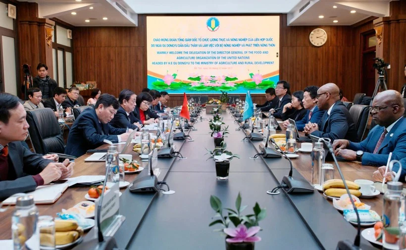 Séance de travail entre le ministre de l'Agriculture et du Développement rural, Lê Minh Hoan, et une délégation de haut niveau de l'Organisation des Nations Unies pour l'alimentation et l'agriculture (FAO), conduite par son directeur général Qu Dongyu. Photo: ministère de l'Agriculture et du Développement rural