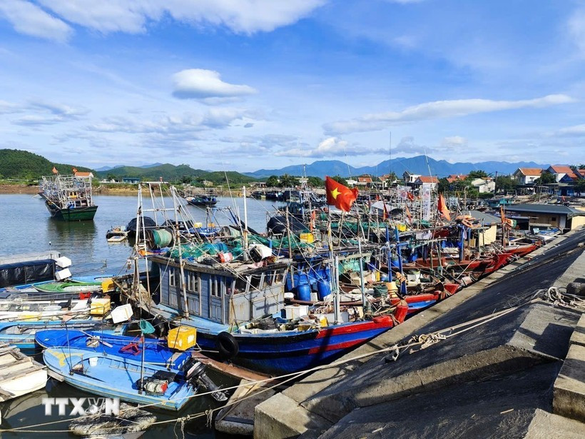 Les bateaux de pêche de la province de Quang Ninh. Photo: VNA