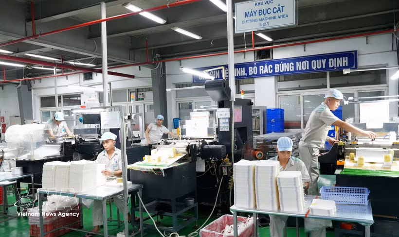 Chaîne de production d'emballages de la Société par actions de Production et d'Import-Export d'Emballages Thang Long, répondant aux exigences de nombreux clients nationaux et internationaux. Photo: VNA
