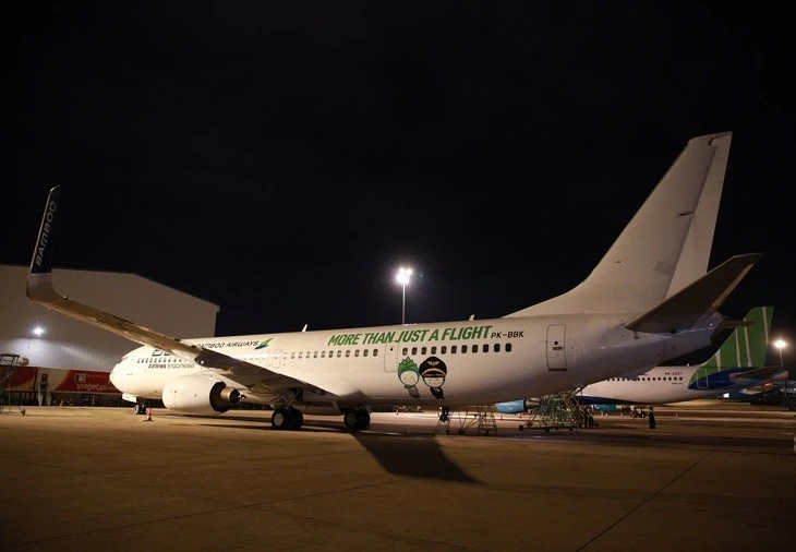 Bamboo Airways louera un Boeing 737-900ER qui sera exploité sur des lignes intérieures très fréquentées ainsi que vers certaines destinations d’Asie du Sud-Est. Photo: H.M