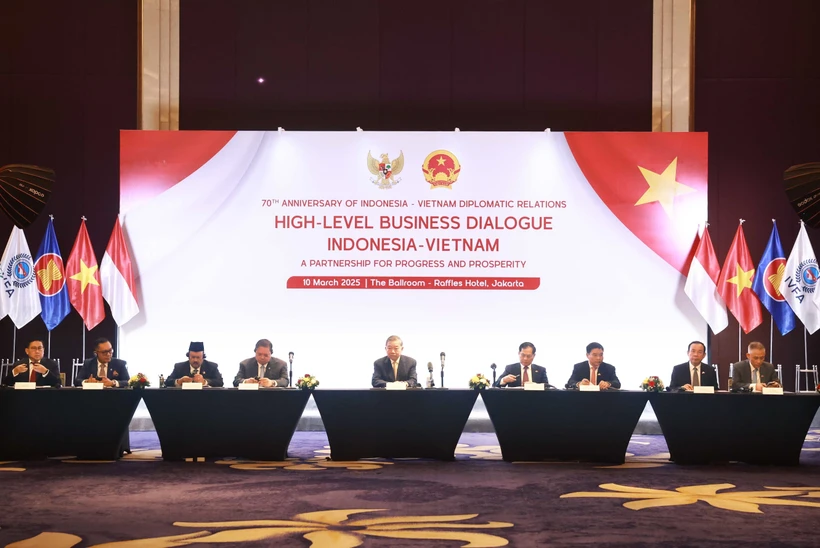 Le secrétaire général du Parti communiste du Vietnam (PCV), Tô Lâm, au forum d’affaires Vietnam – Indonésie, le 10 mars 2025. Photo: VNA