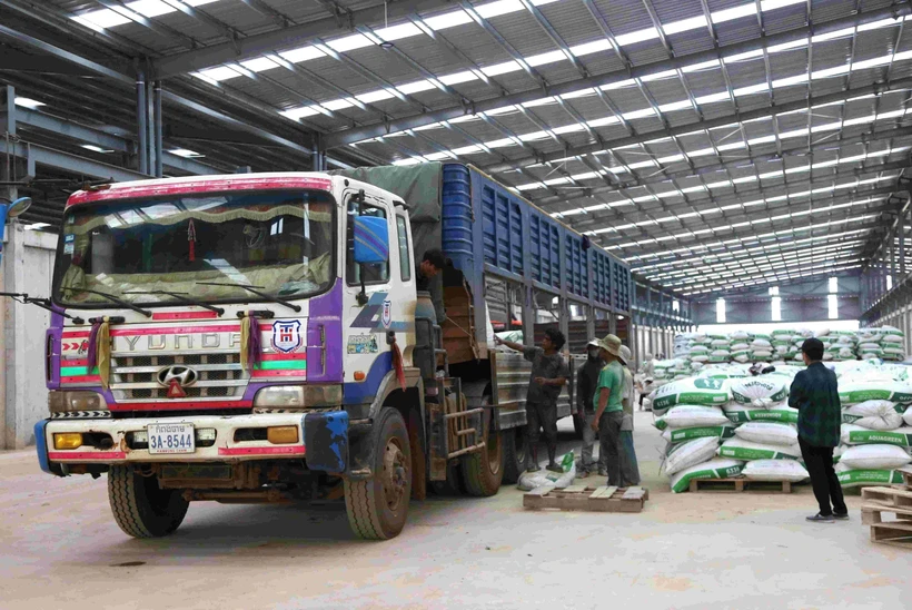 Activités au complexe Snuol de la Truong Hai Agricultural Joint Stock Company (THACO AGRI), situé dans la province de Kratie, au nord-est du Cambodge. Photo: VNA