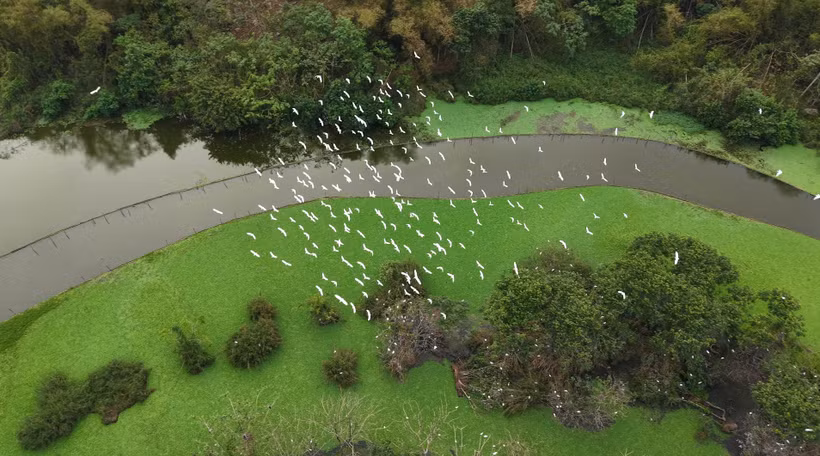 Thung Nham, un paradis ornithologique au cœur de Ninh Binh 