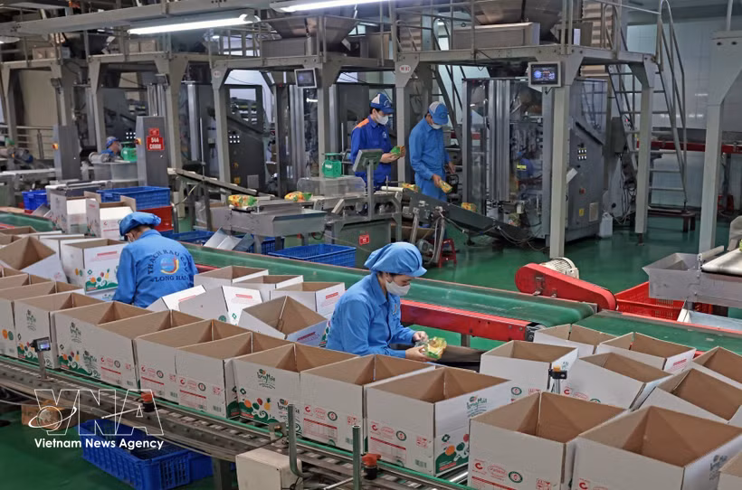 Production dans une usine privée. Photo: VNA
