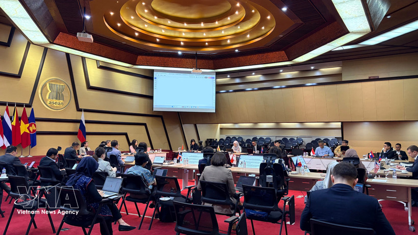 La 24e réunion du Comité mixte de coopération ASEAN–Russie. Photo: VNA