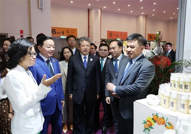 Le vice-Premier ministre Tran Hong Ha (2e à partir de la gauche) visite un stand vietnamien. Photo: VNA