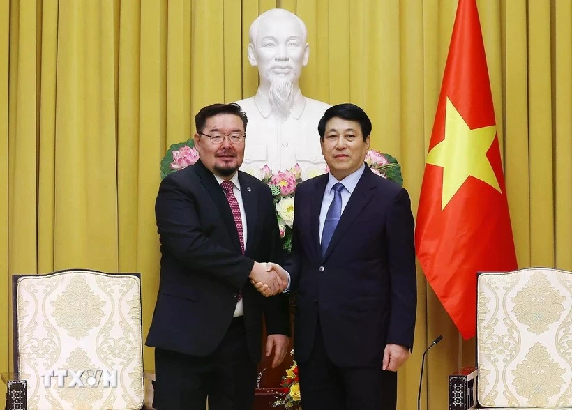 Le président de la République Luong Cuong (droite) et le chef du bureau présidentiel de la Mongolie, Gombojav Zandanshatar. Photo: VNA