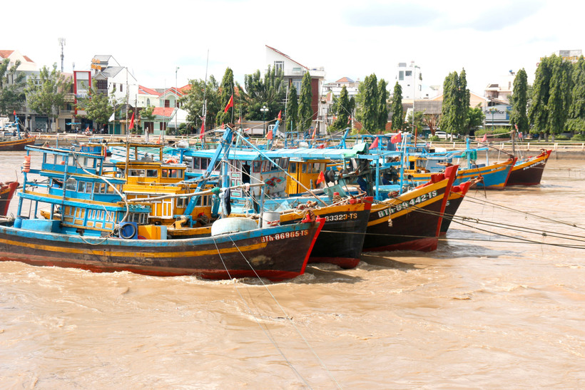 Lâm Dông intensifie la régularisation de sa flotte de pêche. Photo: VNA