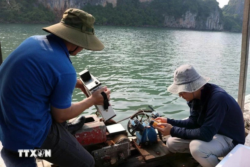 Des scientifiques vietnamiens et polonais ont récemment lancé un projet utilisant l’intelligence artificielle (IA) et la télédétection pour surveiller la qualité des eaux marines dans la baie d’Ha Long et la lagune de Cua Luc. Photo: VNA