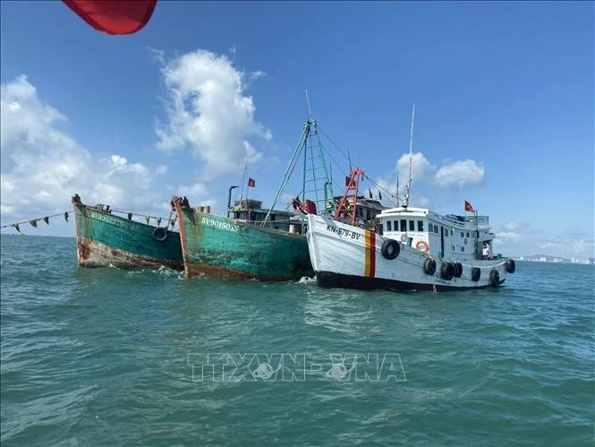 Ba Ria – Vung Tau résout 100% des cas de bateaux de pêche « à trois interdits ». Photo: VNA