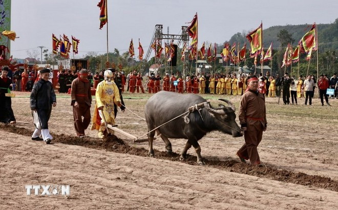 La fête Tich diên (Fête des labours ou fête de descente aux champs) de Doi Son se déroule le 7e jour du premier mois lunaire dans la commune de Doi Son, district de Duy Tiên, province de Hà Nam (Nord). Photo : VNA 0402-tich-dien.jpg