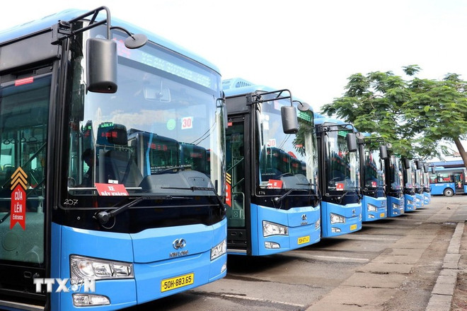 L’ajout de 443 nouveaux bus électriques répartis sur 27 lignes fera passer ce chiffre à 613 véhicules, soit 26,2 % du total. Photo : VNA xe-buyt-dien.jpg