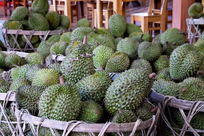 vnanet-potal-xuat-khau-rau-qua-nua-dau-nam-2025-hut-hoi-do-xuat-khau-sau-rieng-giam-sau-8140463.jpg