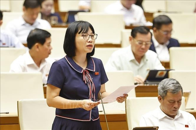 La députée Nguyên Thi Viêt Nga. Photo : VNA dai-bieu-quoc-hoi-tinh-hai-duong-nguyen-thi-viet-nga-phat-bieu-anh-ttxvn.jpg