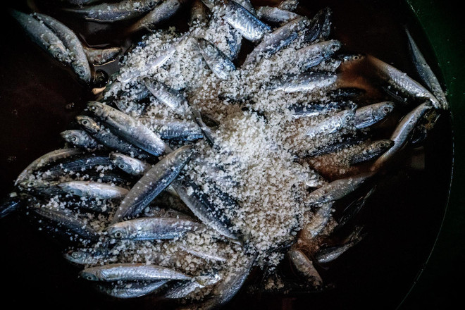 Le poisson est salé avant d’être cuit à la vapeur. Photo : VNA anh-3.jpg