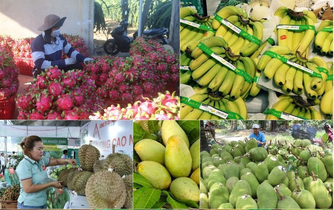 Photo : VietnamPlus nongsan.jpg