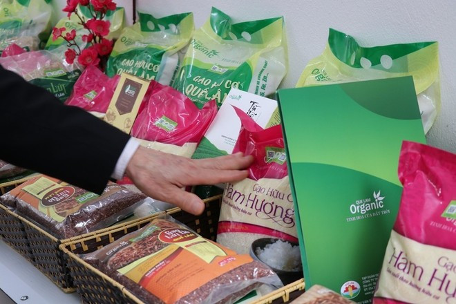 Environ 28 % des entreprises signalent des paiements officieux lors des inspections, 50 % pour les procédures foncières et près de 29 % lors des appels d'offres locaux. Photo : VietnamPlus gb.jpg